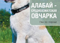 Алабай. Среднеазиатская овчарка. Гид по породе