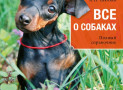 Все о собаках