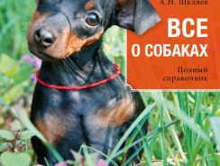 Все о собаках