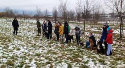 Групповые занятия