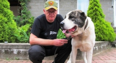 Выгул собаки в отсутствие владельца