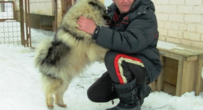 Воспитание, обучение и дрессировка собаки без первоначального участия владельца